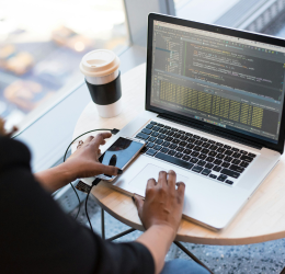 Vulnerability Detection